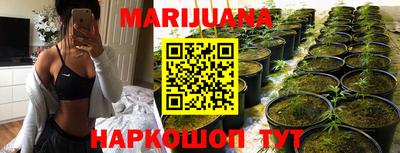 стаф Новодвинск