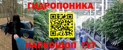 стаф Новодвинск