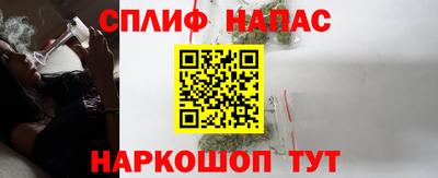 стаф Новодвинск