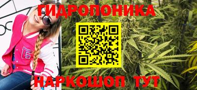 стаф Новодвинск