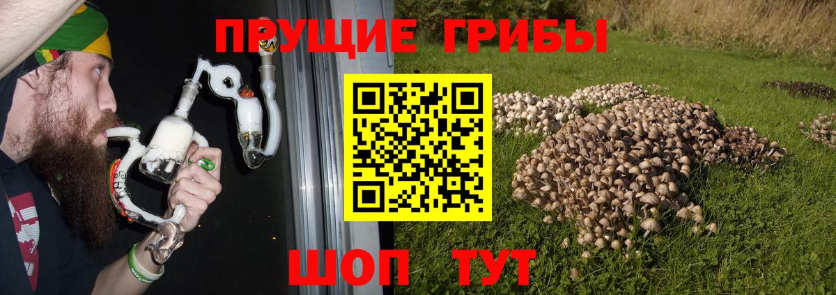 Арзамас  дарнет шоп  Вход с VPN  Псилоцибиновые грибы Cubensis 